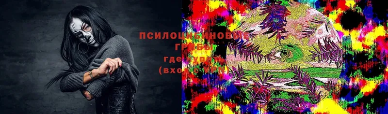 магазин    blacksprut как войти  Галлюциногенные грибы Psilocybe  Кадников 